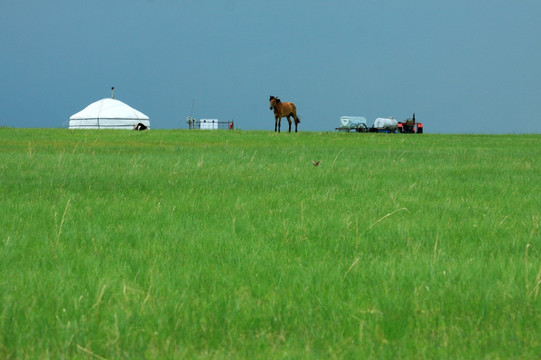 草原蒙古包放牧点