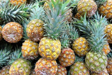 菠蘿 水果