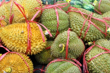 榴莲 水果 热带水果 食物