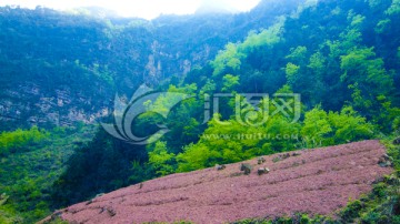 山野溪水 山沟