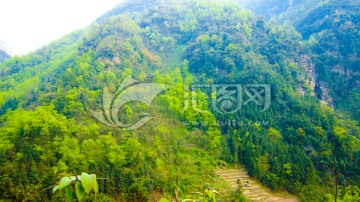 山林丘陵 绿树山野