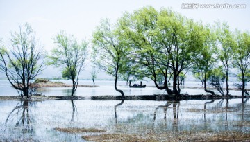 丽江 拉市海