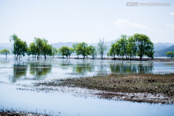 丽江 拉市海