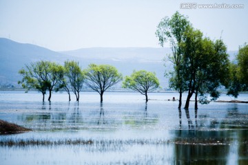 丽江 拉市海