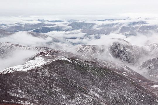 贡嘎雪山