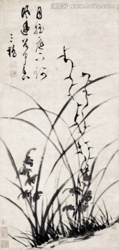 蘭花圖 高清精修