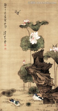 荷花鴛鴦圖