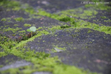 红砖厂创意园 青砖路面