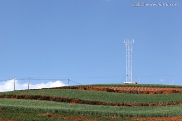 红土地种植