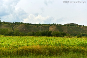 田园风光