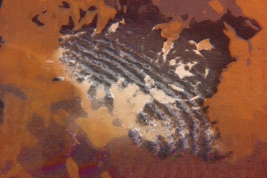 油畫(huà) 抽象畫(huà)