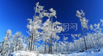 林海雪原