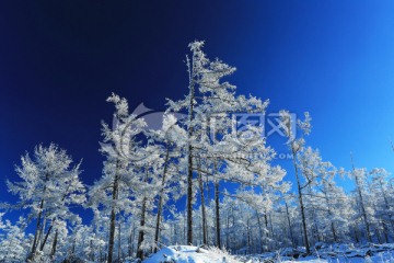 林海雪原雾凇