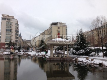 小区雪景