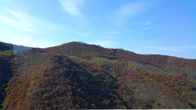 黄土高原