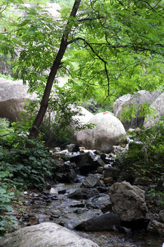 北京白羊沟风景区