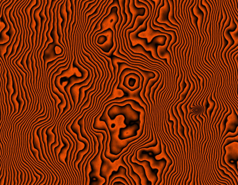 木紋