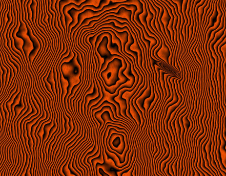木紋