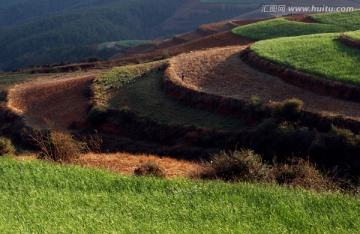 云南东川红土地