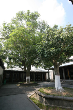 苏东坡 苏公祠 旅游古迹 休闲