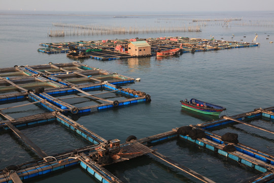 渔排 渔业 海产品 养殖 渔村
