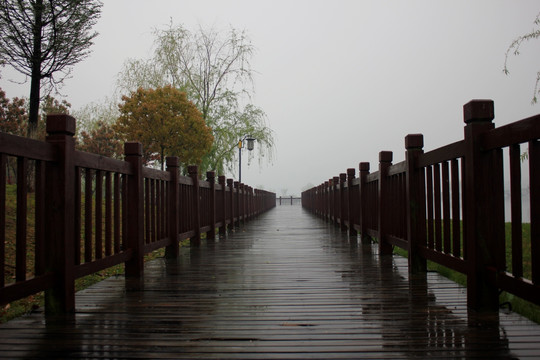 烟雨江南