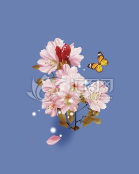 櫻花 花卉 花團(tuán)錦簇