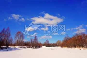 雪河红柳风景