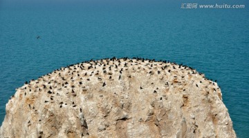 鸬鹚岛