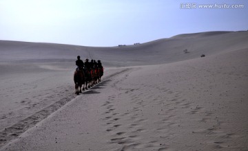 沙漠 驼队