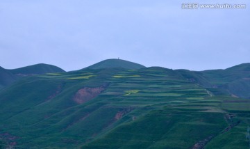 大山 农田