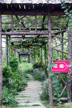 北京花仙子万花园