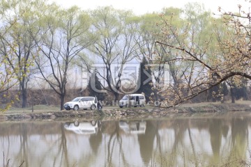 池塘风景