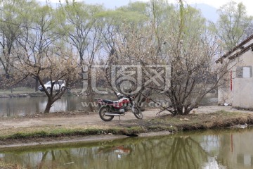 池塘风景