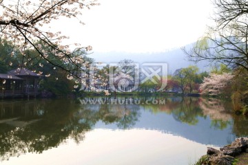 西湖春 水彩画 风景画