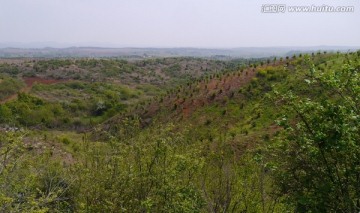 丘陵地带