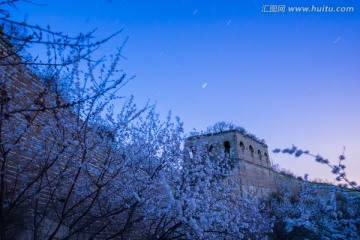 杏花 春天 长曝 星轨