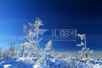 林海雪原