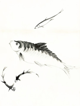 齊白石花鳥(niǎo)魚(yú)蝦 畫(huà)廊品質(zhì)