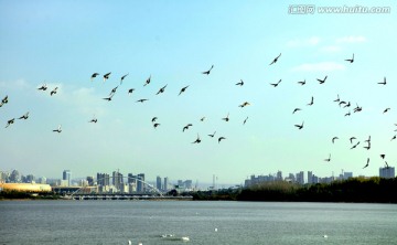 城市风光