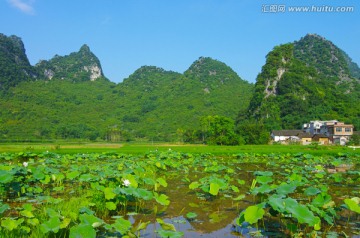 乡村风景