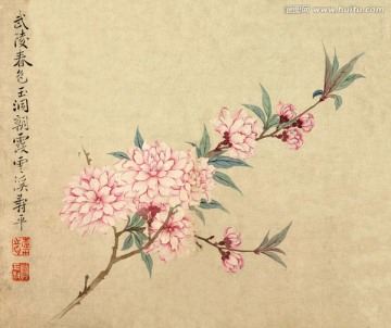 花鳥國畫
