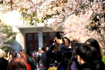 南京林业大学风光