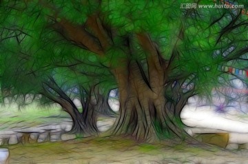 大樹 樹木 無框畫