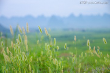 清新自然