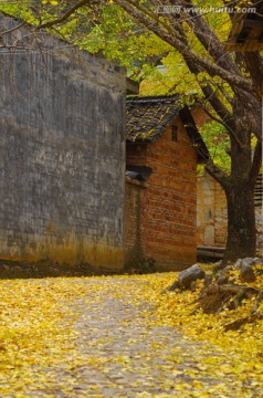 住宅 乡村