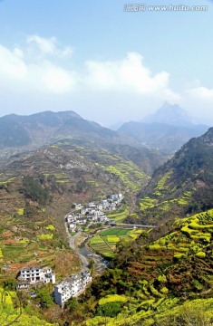 安徽歙县油菜花梯田民居全景