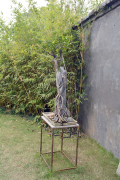 盆景竹子