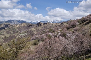 高山