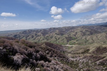 高山